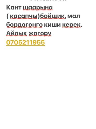работа в оше для студентов официант: Кант шаарына убойных цехке касапчы, жумушчу, повар керек. Айлык акы