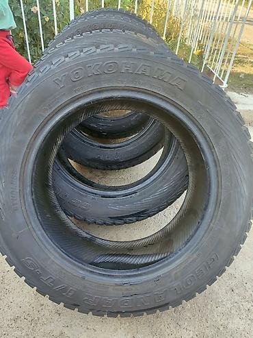Шины и диски: Комплект зимних шин Yokohama Geolandar I/T-S - Размер: 255/55 R18 - — 3
