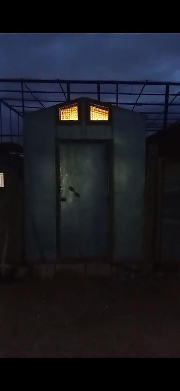 Göyərçinlər: Quş damılar satılır — 1