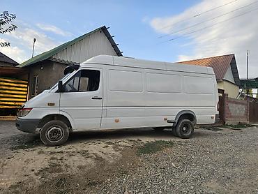 высокая крыша: Mercedes-Benz Sprinter (длинная база, высокий потолок), грузовой — 4