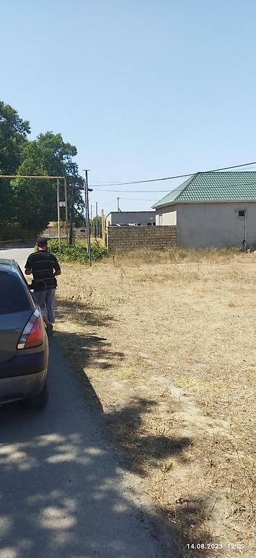 bine savxozda satilan heyet evleri: 28 sot, Kənd təsərrüfatı, Mülkiyyətçi, Kupça (Çıxarış) — 3