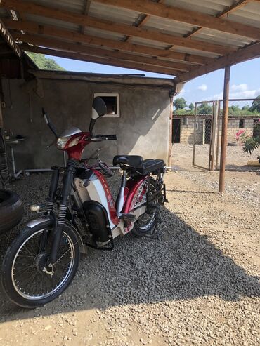 arenda mopedler: - Tailg, 50 sm3, 2020 il, 288888 km