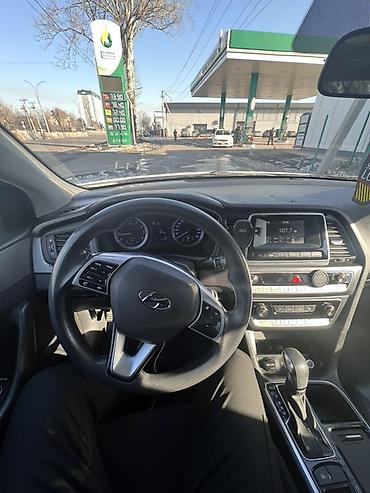 Hyundai: Hyundai Sonata: 2019 г., 2 л, Автомат, Бензин, Седан — 12