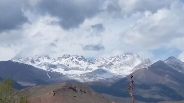 Продажа домов: Дом, 130 м², 5 комнат, Собственник — 16