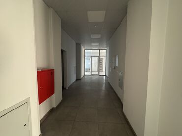 Помещения свободного назначения: Сдается в аренду пом-е 193 м2 Центральные коммуникации 2 санузла 2 — 9