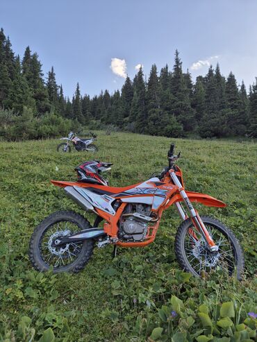 спортивные мотоциклы honda: Кроссовый мотоцикл (питбайк) в ярком оранжевом дизайне с номером 26