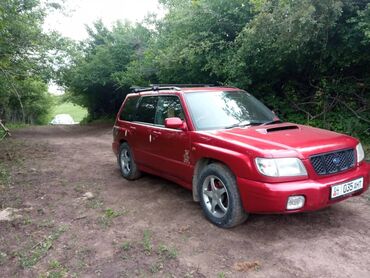 маленькая машина: Красный внедорожник Subaru Forester, оснащенный багажником на крыше