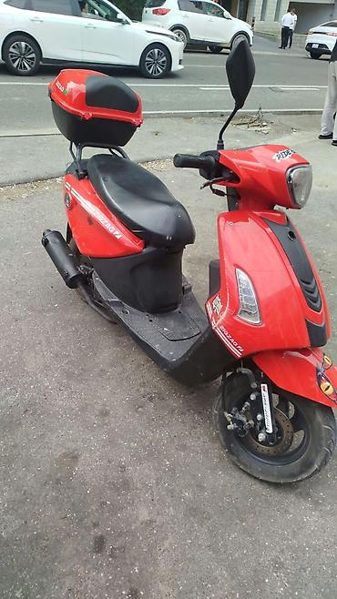 2 el motor fiyatları: Zaza - 295, 50 sm3, 2024 il, 79285 km — 1