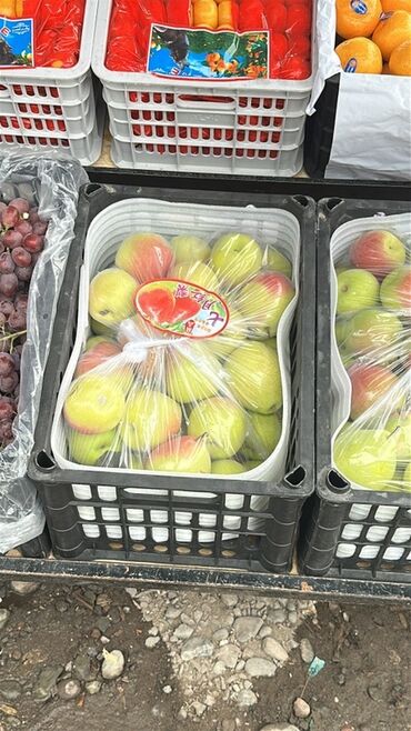 мандарины турция или где купить фрукты оптом: Алмуруттар Дүңүнөн