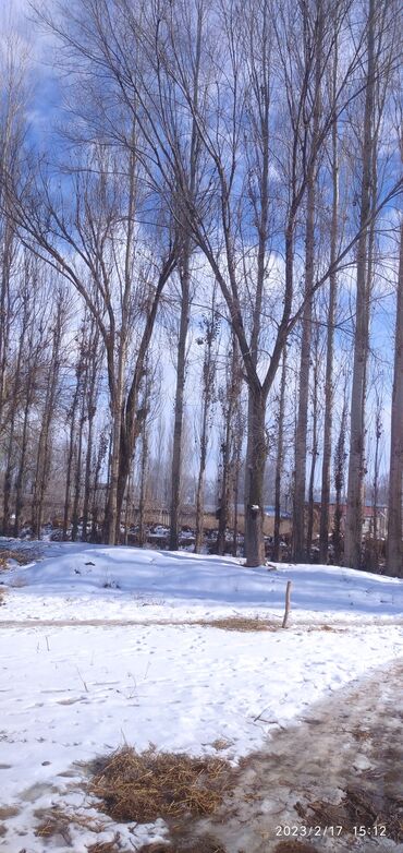 Продажа домов: Дом, 75 м², 4 комнаты, Собственник, Косметический ремонт — 15