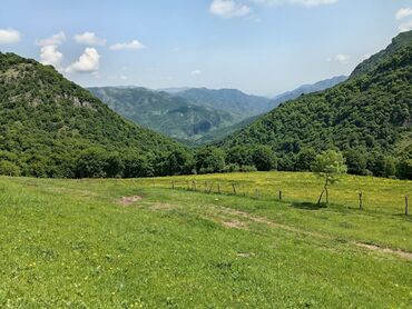 Torpaq sahələrinin satışı: 50 sot, Mülkiyyətçi, Kupça (Çıxarış) — 6