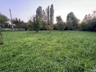 Həyət evləri və villaların satışı: 4 otaqlı, 63 kv. m, Təmirsiz — 12