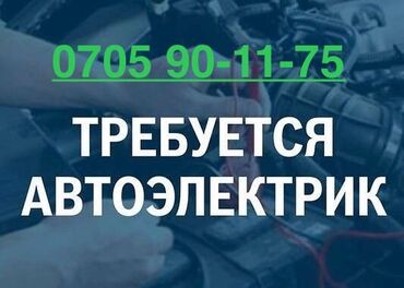 требуется ученик автоэлектрик: Требуется Автоэлектрик, Оплата Ежедневно, Процент от дохода, 1-2 года опыта, Официальное трудоустройство