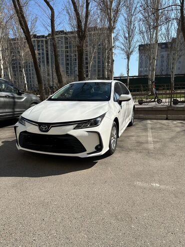 hybrid: Toyota 