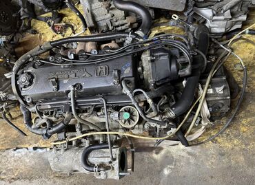 Двигатели, моторы и ГБЦ: Бензиновый мотор Honda 2 л, Оригинал, Япония