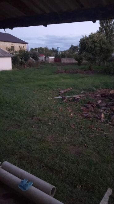 Torpaq sahələrinin satışı: 30 sot, Mülkiyyətçi, Kupça (Çıxarış) — 5