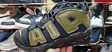 premiata 483 original: Orginal model sa kutijom 39 do 45 za samo 4200 din — 4