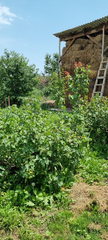 Продажа домов: Дом, 90 м², 6 комнат, Собственник at lalafo.kg — 9 Продажа домов: Дом, 90 м², 6 комнат, Собственник — 9