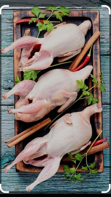 клетка для попугая корелла: Мясо перепелов 1 кг 700 сом