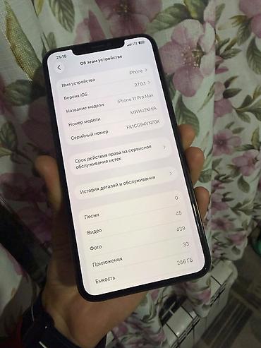apple studio display: IPhone 11 Pro Max, Б/у, 256 ГБ, Matte Space Gray, Защитное стекло, 75 % — 6