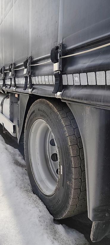 Тягачи: Тягач, DAF, Шторный — 12