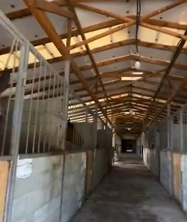продается ферма: Farm КРС, 2 соток, Действующий, С оборудованием, Электричество, Скважина, Холодная вода — 4
