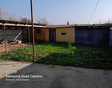 ev alqi satqi kiraye: Salam Ev Satılır Cəlilabad rayon Fərzili kəndə yerləşir asfalta 700 — 6