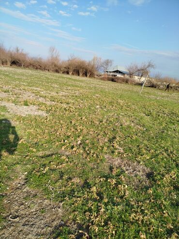 Həyət evləri və villaların satışı: Ev satılir ağdaş rayon ovcullu kəndidədi.ik mərtəbədi ipək yoldan 12