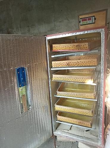 inkubator cuceleri: Real alıcıya endirim olacaq tecili satılır 600 deneli inqibatur — 2