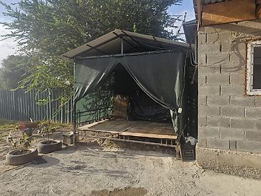 обувь больших размеров бишкек: Тапчан сатылат узуну 3.метир турасы 2.м 50 с. 47000 мин крышасы — 2