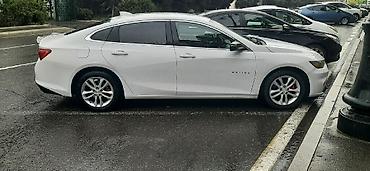 Chevrolet: Chevrolet Malibu: 1.5 l | 2017 il Sedan — 3