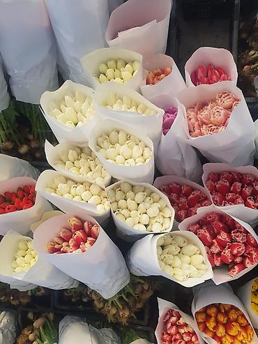 Букеты из живых цветов: Тюльпаны с луковицей — ассортименты цветов и сортов оптом на 8 - марта — 8