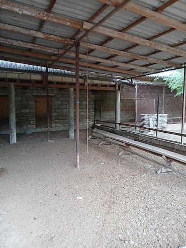 Torpaq sahələrinin satışı: Kənd təsərrüfatı — 11