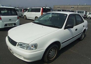 прадо 300: Toyota Corolla: 1999 г., 1.3 л, Автомат, Бензин, Седан