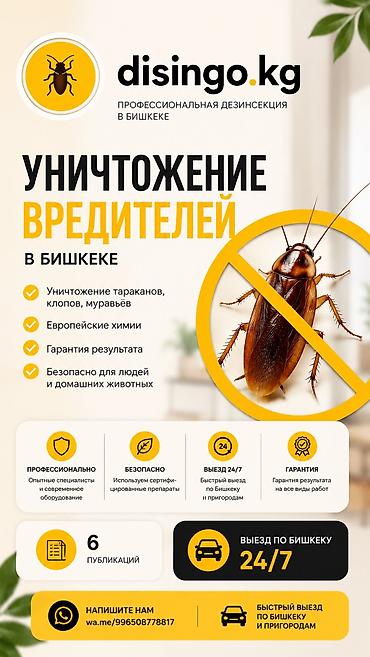 ветеринар вызов дом в бишкеке: Дезинфекция, дезинсекция, | Вирусы, микробы, Клопы, Тараканы, | Дома, Кафе, магазины, Квартиры — 1