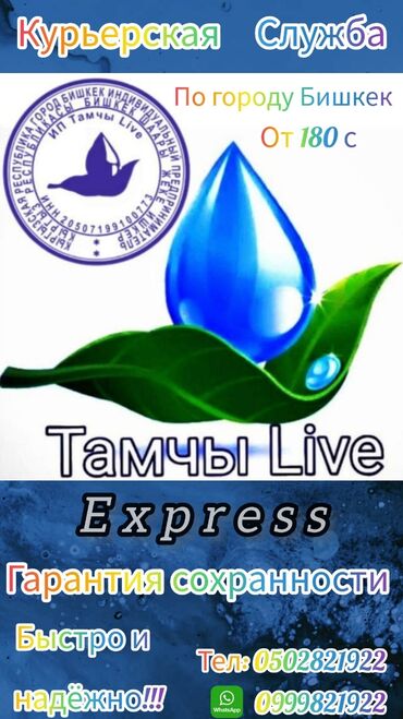 Курьерская доставка: Пешая Курьерская Служба доставки "Тамчы Live Express" по городу