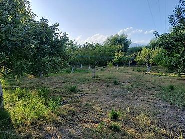 Продажа коттеджей и домов: Дом на Иссык-Куле!!! Продается просторный дом на участке 36 сотых at lalafo.kg — 31 Продажа коттеджей и домов: Дом на Иссык-Куле!!! Продается просторный дом на участке 36 сотых — 31