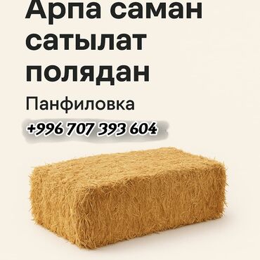 пластик эшик б у: Кап, Жаңы
