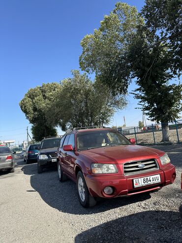 ауди а6 с: Subaru Forester: 2003 г., 2.5 л, Автомат, Бензин, Внедорожник