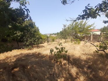 Bağ evlərinin satışı: Bakı, Görədil, 65 kv. m, 1 otaqlı, Hovuzsuz, Qaz, Su, Kanalizasiya — 18