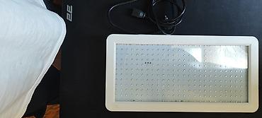 suni bitki: Full Spectrum LED “Grow Light” – bitkilərin bütün inkişaf mərhələləri — 1