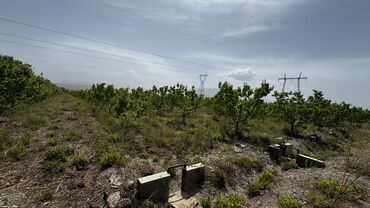 Продажа участков: 400 соток, Для сельского хозяйства, Генеральная доверенность, Договор купли-продажи, Тех паспорт — 6