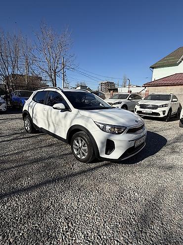 Kia: Kia Stonic: 2019 г., 1.4 л, Автомат, Бензин, Хэтчбэк — 7