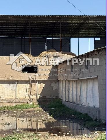 Продажа сельхоз предприятий: Ферма КРС, 20 соток, Электричество, Холодная вода — 9