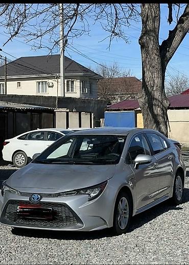 Аккумуляторы: Аккумулятор 35 Ач, Китай — 1