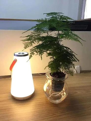 greje: LAMPA ZA KAMPOVANJE NOVA TOUCH LAMPA ZA KUCU, BASTU, PECANJE | Cene — 9