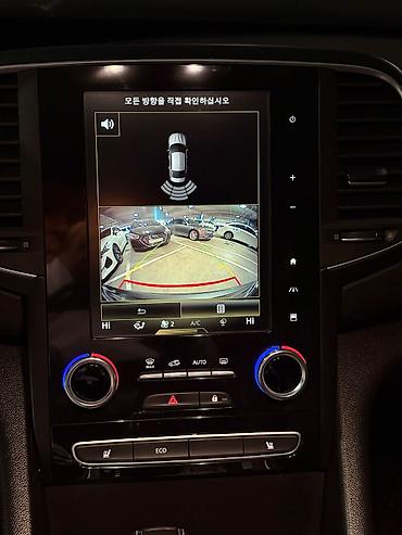 Renault: Renault SM6: 2020 г., 2 л, Автомат, Газ, Седан — 7