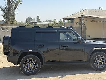 step rf3: Jetour : 2024 г., 2 л, Автомат, Бензин, Roadster — 8