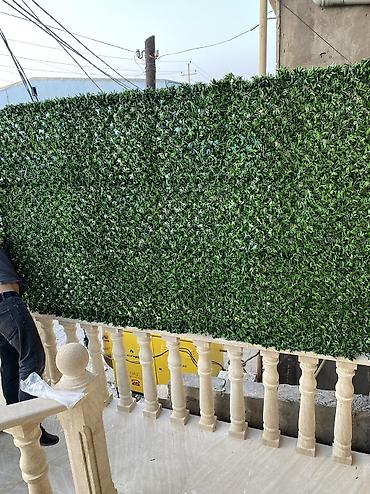 kələm gülü: 🌿 Yaşıl Hasar – Təbii Görünüş, Uzunömürlü Keyfiyyət! 🌿 🏗 Paslanmaz — 2