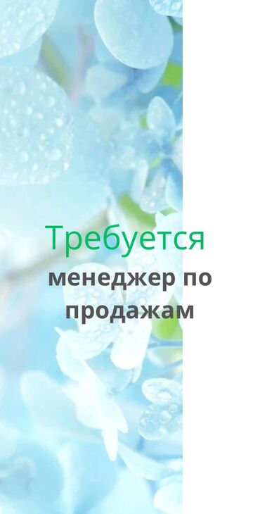 офис менеджеры: Требуется Менеджер по продажам, График: Гибкий график, Удаленная работа, Оплата переработки